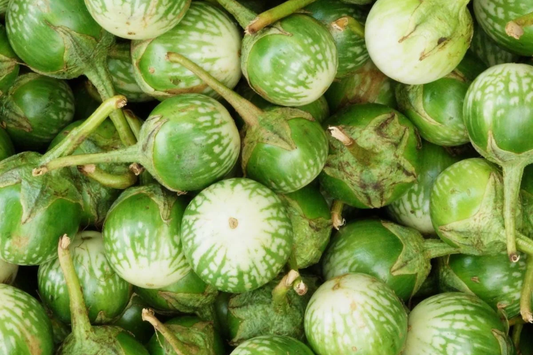 Eggplant Seeds | Green Thai & Petch Siam Varieties | NON-GMO, Heirloom, Organic