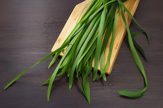 Garlic Chives Seeds: Heirloom Culinary Herb - Easy Garden Growing