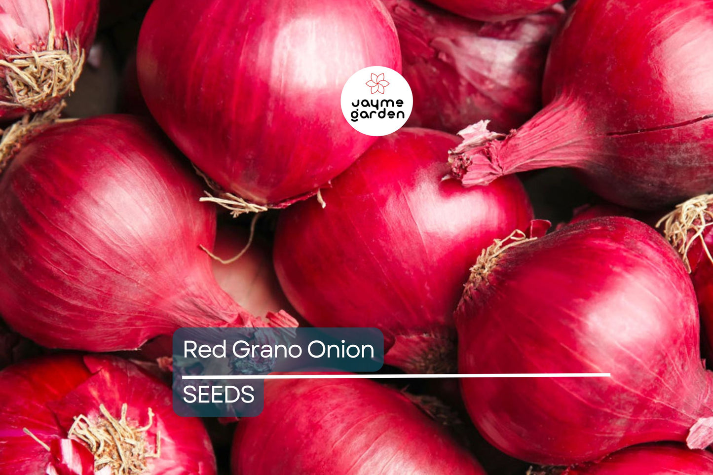 Red Grano Onion Seeds - Heirloom, Non-GMO - 110 Days to Maturity - Mild & Crisp - USDA Zones 3-9 - Perfect for Salads & Burgers