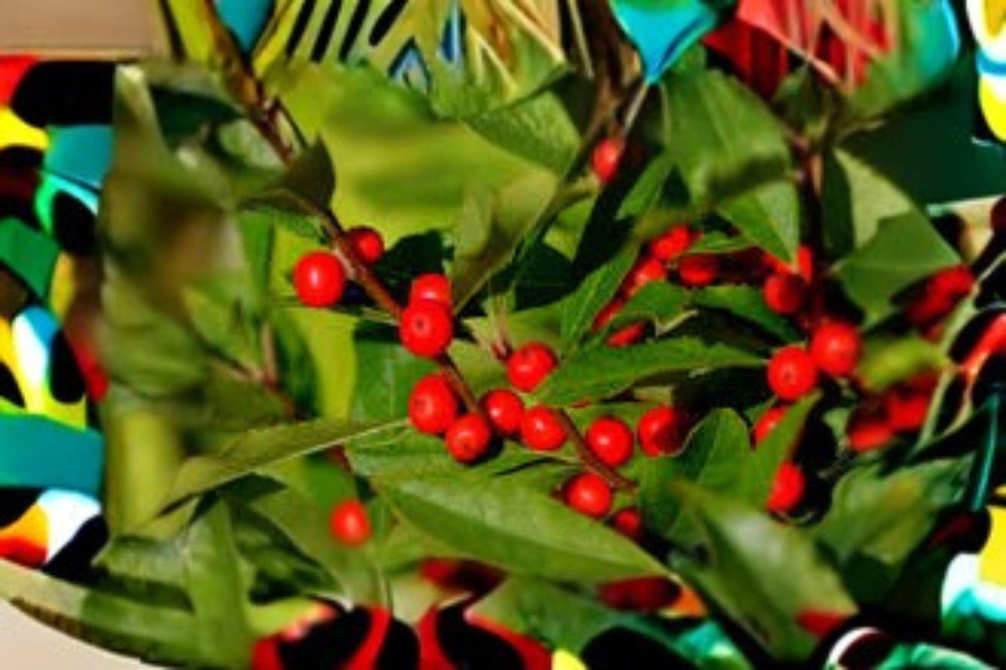 250 mg Seeds | Ilex verticillata Winterberry Holly | Red Berry Shrub | Native Ornamental Plant