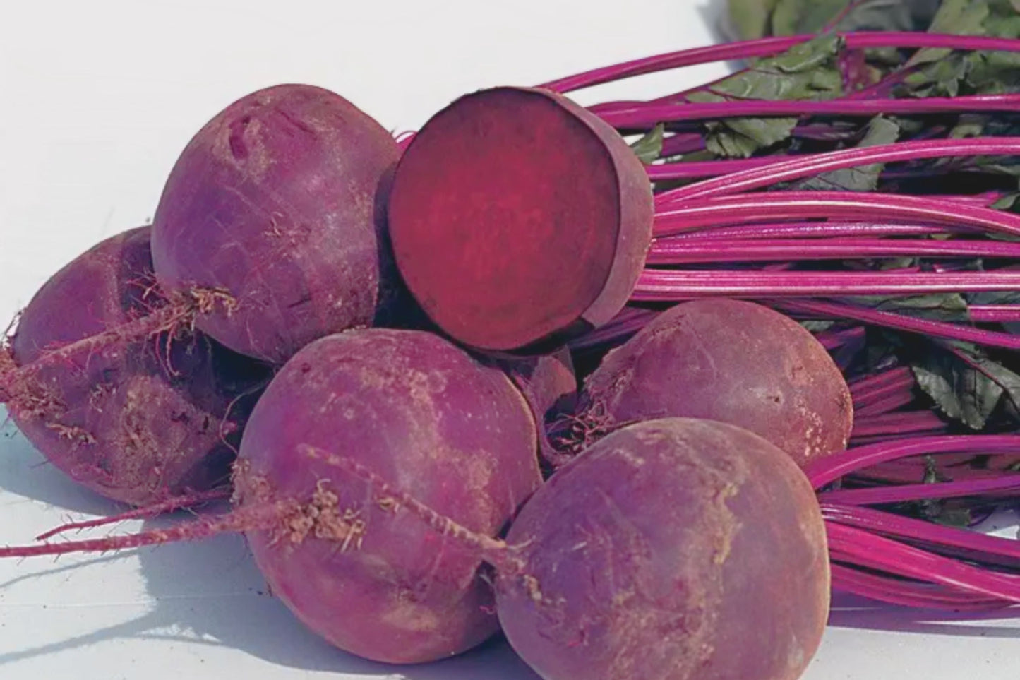 Bulls Blood Beet Seeds | 100+ Non-GMO Seeds | Beta vulgaris | Organic Heirloom Vegetable Gardening