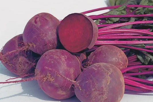 Bulls Blood Beet Seeds | 100+ Non-GMO Seeds | Beta vulgaris | Organic Heirloom Vegetable Gardening