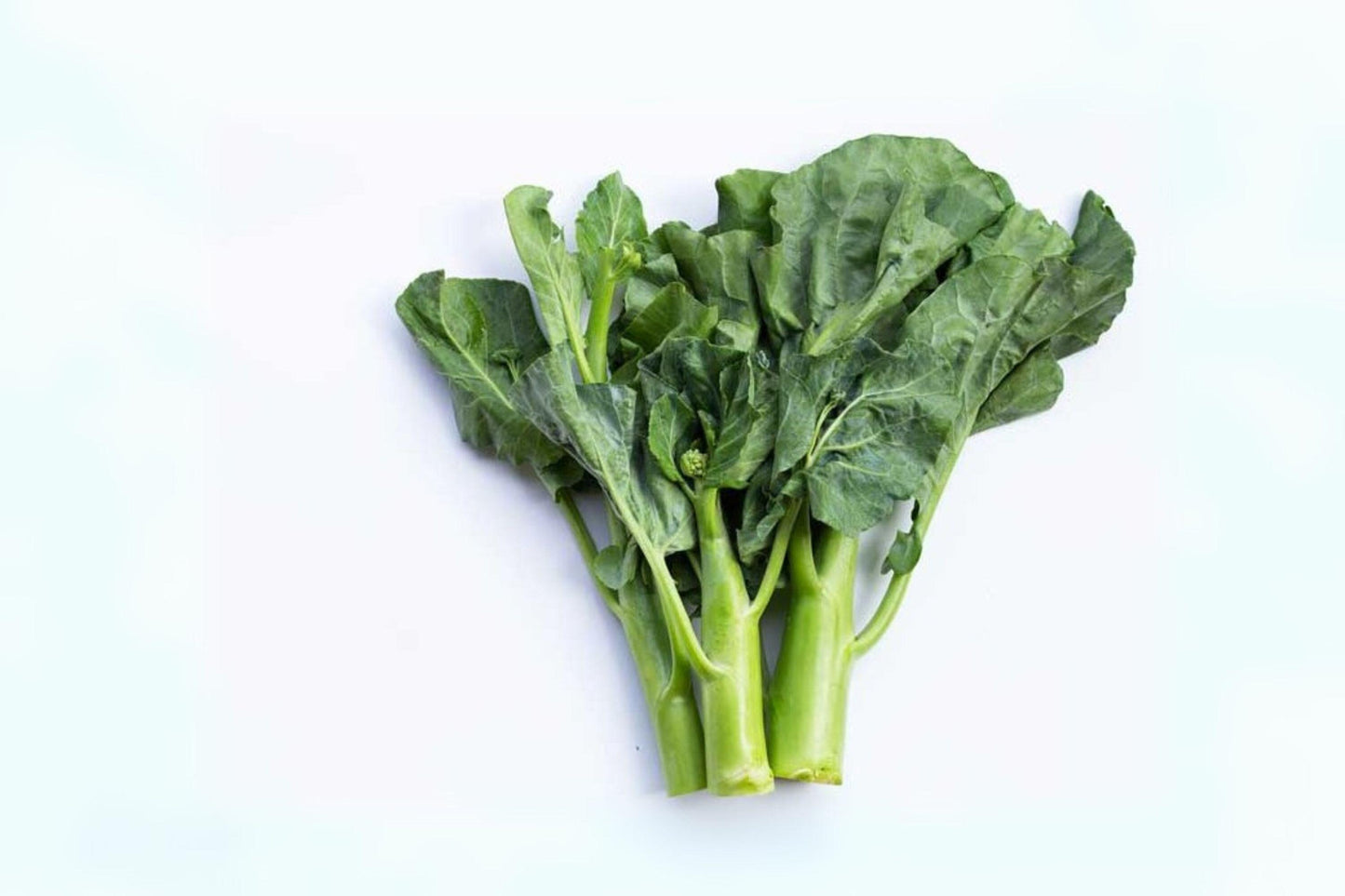 150 Kailaan Seeds: Chinese Broccoli, Gai Lan Heirloom Vegetable