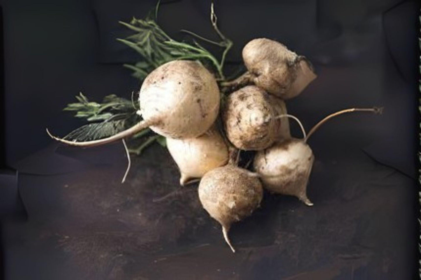 True Jicama Seeds: Heirloom Climbing Vine for Salads & Snacks (10 Seeds)