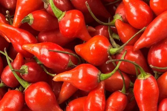 Biquinho Red Hot Pepper Seeds | NON-GMO | Little Beak Variety | Capsicum chinense