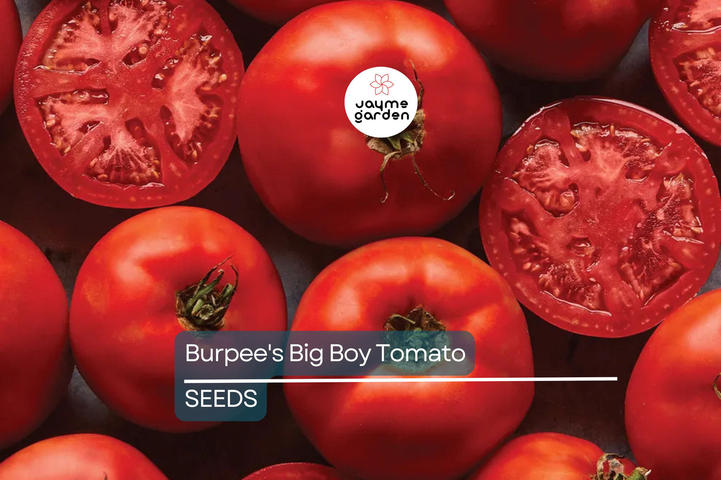 Burpee's Big Boy Tomato Seeds (F1 Hybrid) | Heirloom, Non-GMO | 10-16 oz Fruit, 80 Days to Maturity | USDA Zones 3-10 | Free Shipping