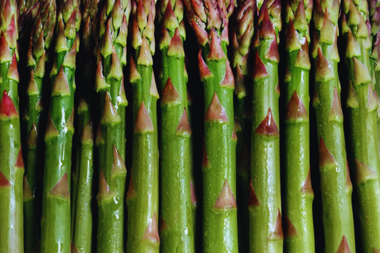 Mary Washington Asparagus Seeds | Non-GMO Vegetable Seeds | Perennial Asparagus (Asparagus officinalis)