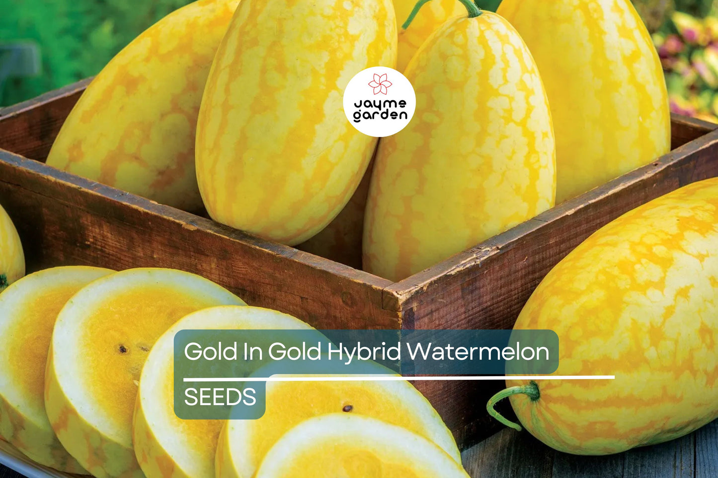 Gold In Gold Hybrid Watermelon Seeds - 50+ Seeds - Sweet Yellow Flesh - USA Grown -  - High Yield Fruit Garden