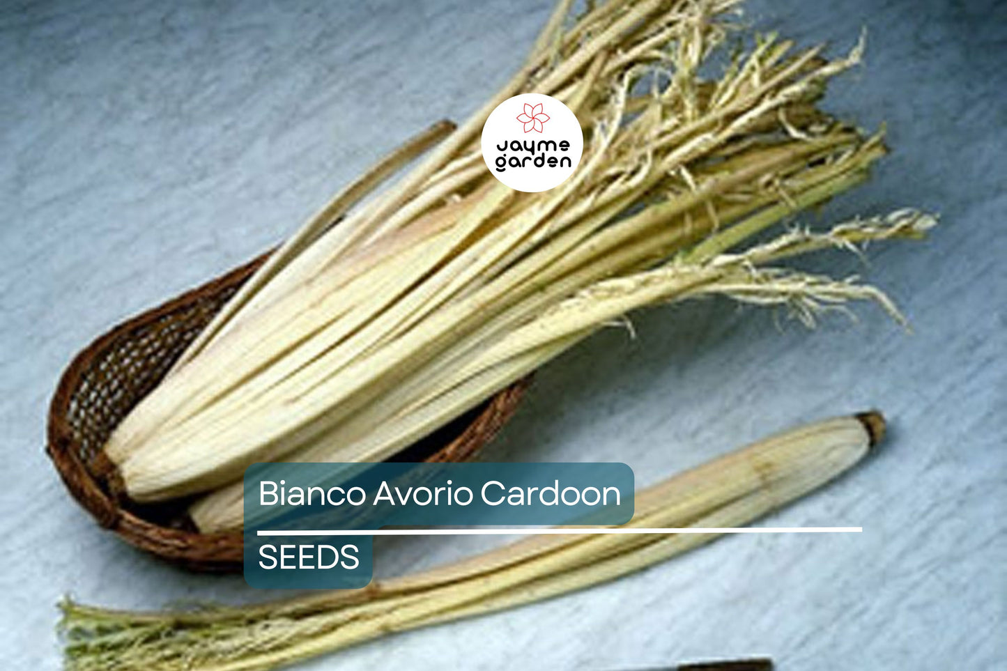 Bianco Avorio Cardoon Seeds, Cynara cardunculus, 2-6 Feet Tall, Artichoke-Flavored Stems, Heirloom, USDA Zones 6-11, Non-GMO