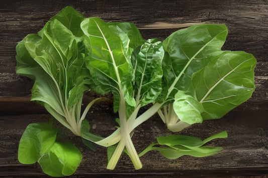 1g Seeds Swiss Chard Fordhook | Heirloom Garden Vegetable | Tender Greens & Colorful Stalks