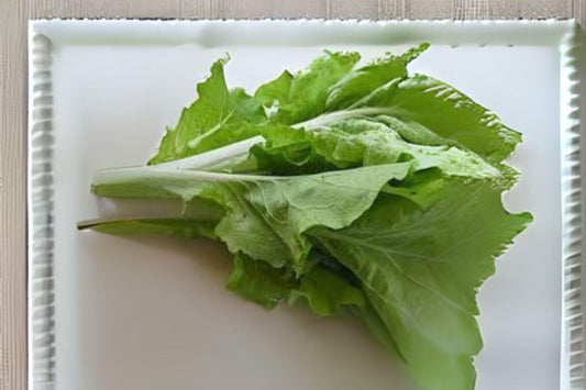 Frilly Leaf Pak Choi Seeds: Fun Jen Hybrid, Asian Green
