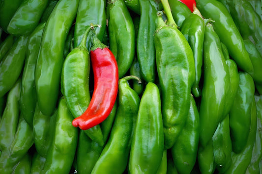 30 Seeds Anaheim Hot Pepper – Mild Chili Variety, Productive Plants for Roasting, Salsa & Cooking