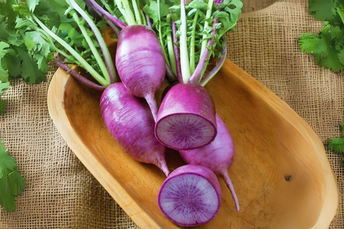 80 Triton Purple Stem Radish Seeds: Fast Growing Microgreens