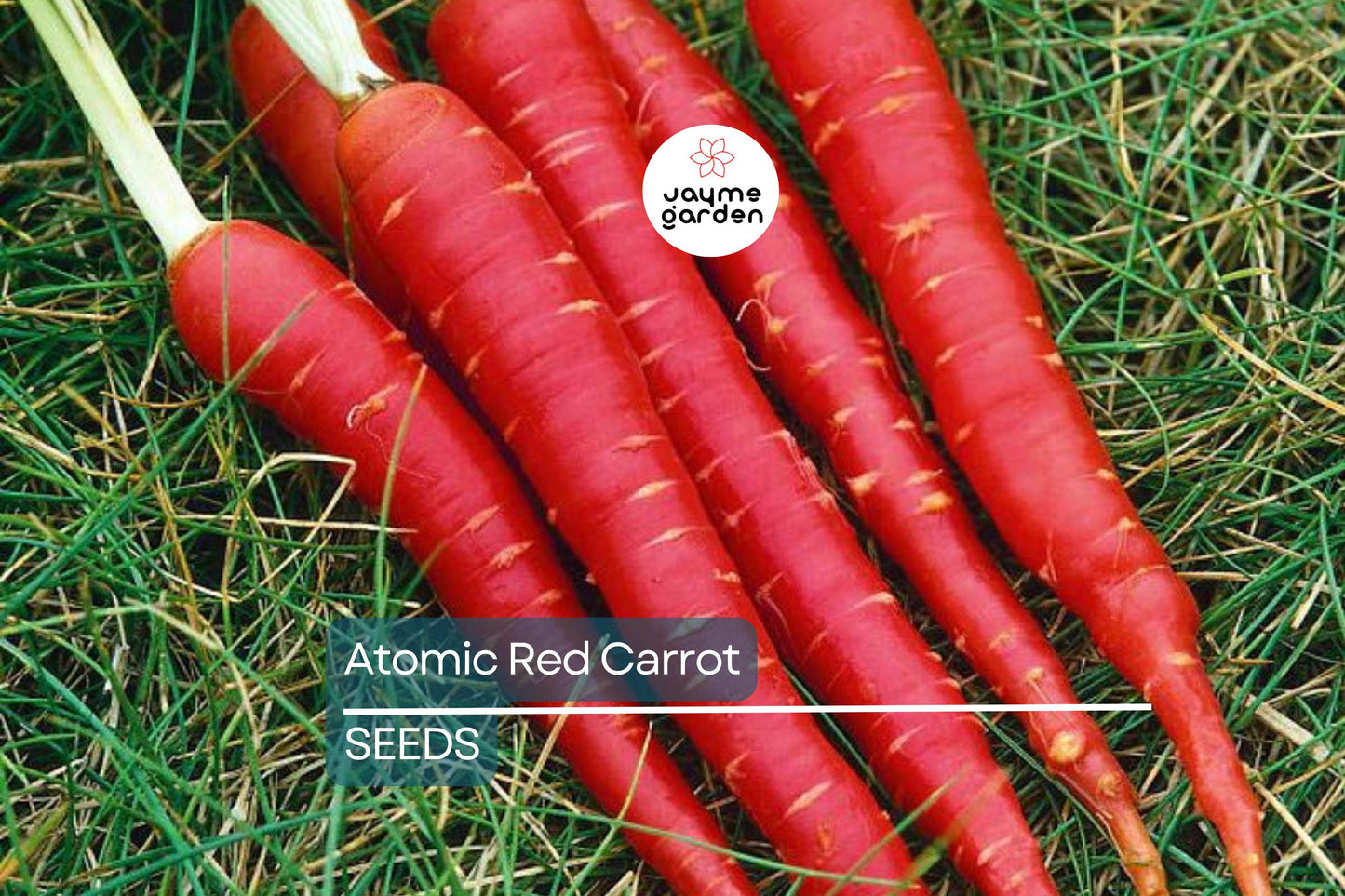 Atomic Red Carrot Seeds | Heirloom - Non-GMO | 150-15,000 Seeds | Deep Red Carrots | Sweet & Crisp | USDA Zones 2-10 | Free Shipping