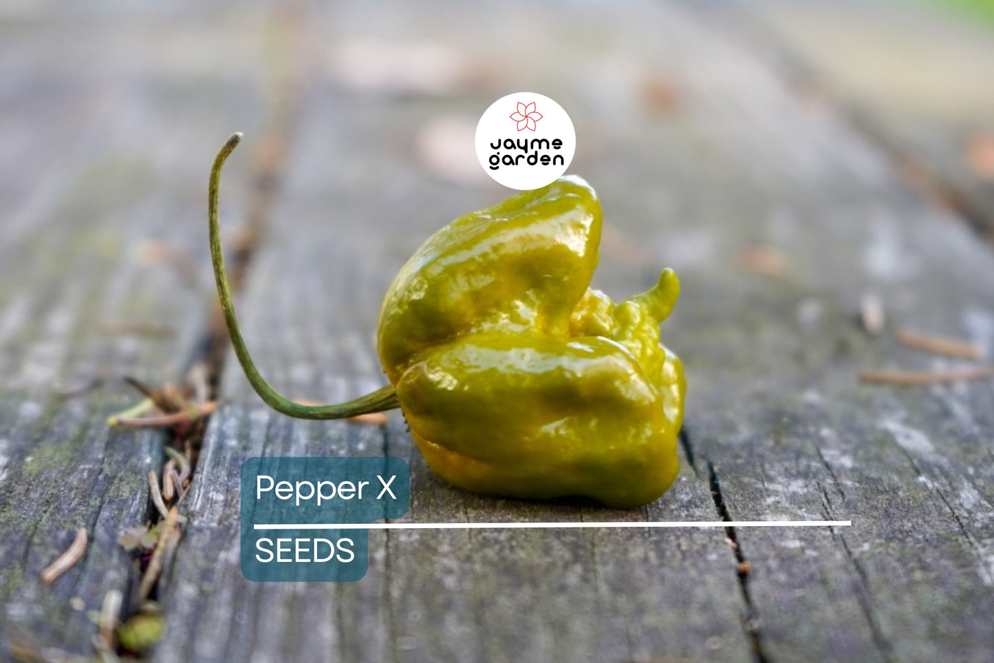 Pepper X Seeds - 25+ World's Hottest Pepper Seeds - USA Grown -  - Extreme Heat - Ghost Pepper Hybrid - Home Garden