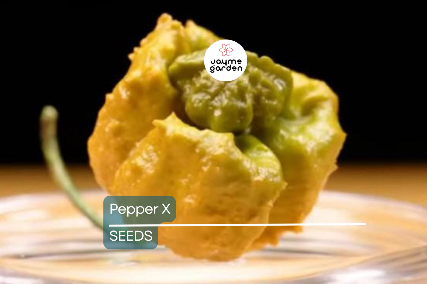 Pepper X Seeds - 25+ World's Hottest Pepper Seeds - USA Grown -  - Extreme Heat - Ghost Pepper Hybrid - Home Garden
