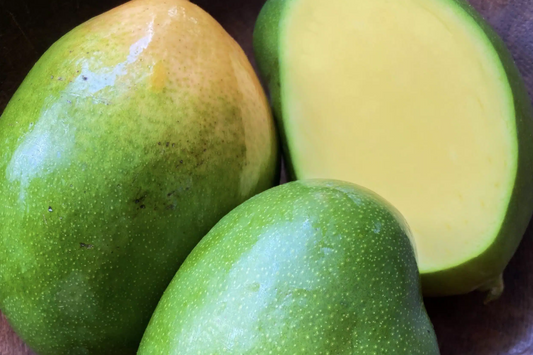 Grafted Mango Keitt Starter Plant Seedling - 3’-4’ Tall Live Tropical Fruit Tree - Sweet, Flavorful Mangoes for Garden or Container