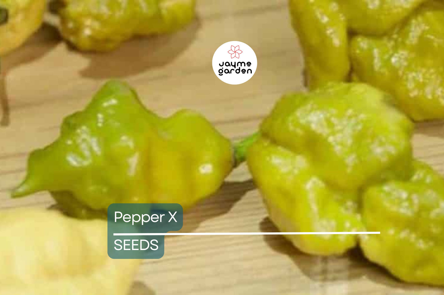 Pepper X Seeds - 25+ World's Hottest Pepper Seeds - USA Grown -  - Extreme Heat - Ghost Pepper Hybrid - Home Garden