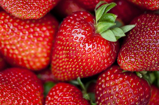 Albion Strawberry Plants - 10 Bare-Root Day-Neutral Plants, Large Sweet Berries