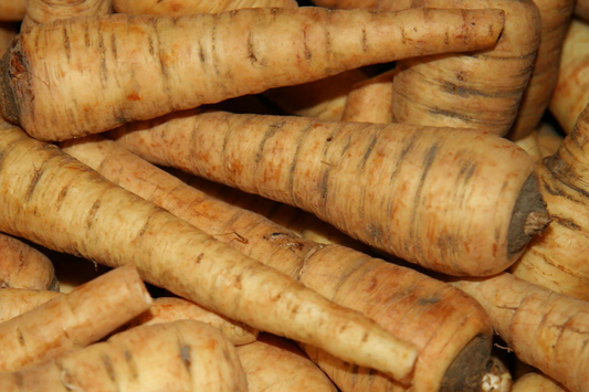 500 All American Parsnip Seeds - Heirloom, Non-GMO, Sweet, Nutty Flavor, 10-12" Roots, Winter Harvest, USA Seller, !