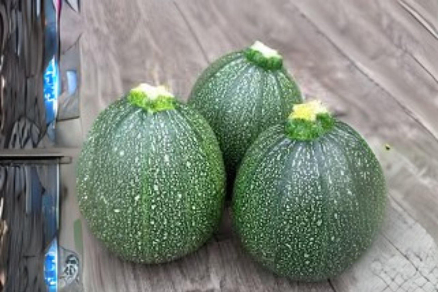 1g Seeds Summer Squash Round Zucchini | Heirloom Vegetable | Compact Bush Variety for Garden & Cooking