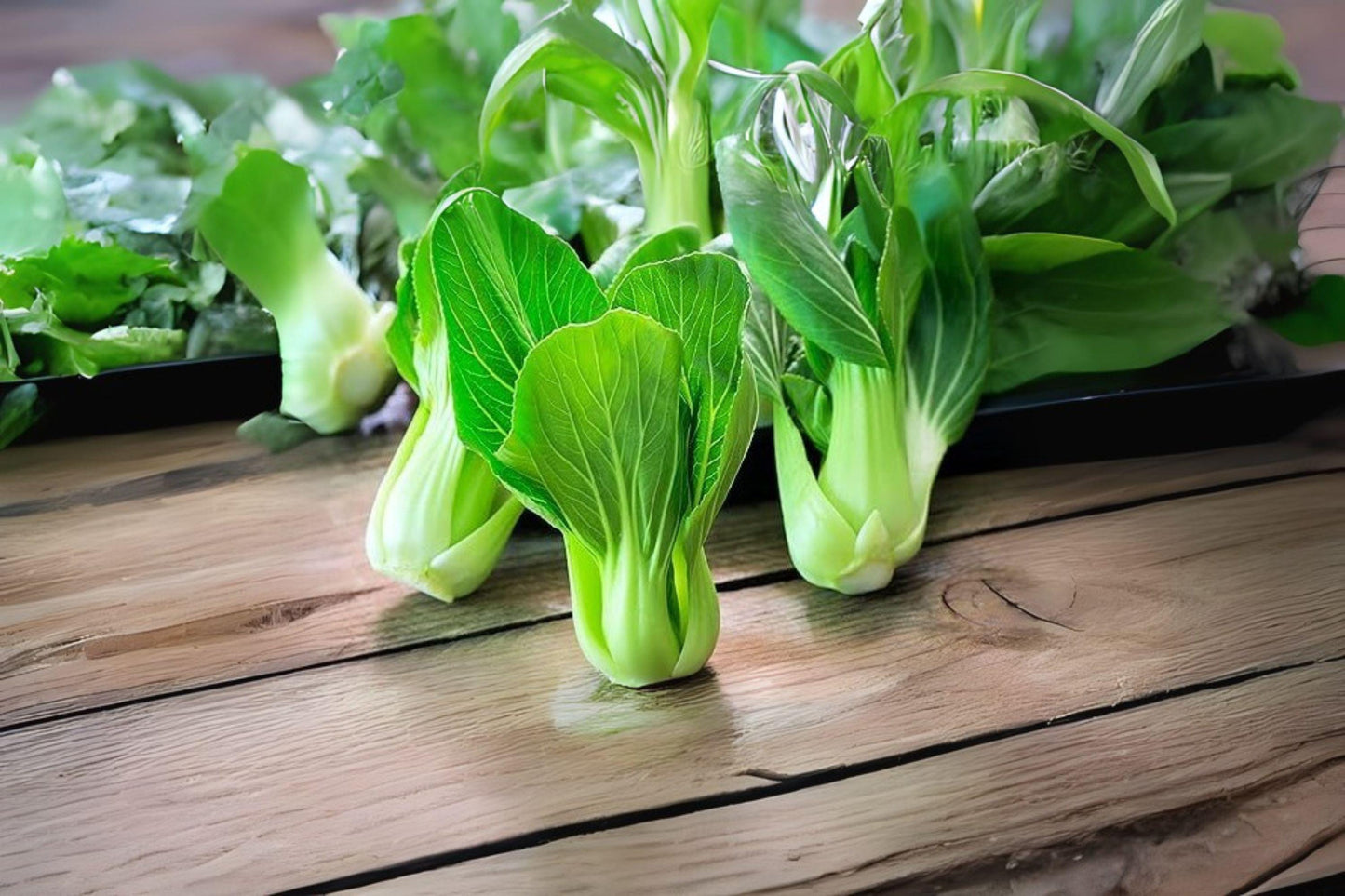 Dwarf Pak Choi Seeds: Baby Bok Choy, Stir Fry Greens (180 Seeds)