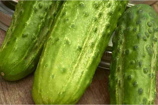 75 Boston Pickling Cucumber Seeds - Heirloom, Non-GMO, Perfect for Pickling, USA Seller