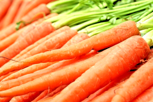 2,000 Imperator Carrot Seeds - Heirloom, NON-GMO, All-America Selections,