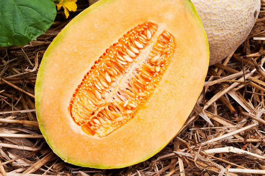 100 Hales Best Jumbo Cantaloupe Seeds - Heirloom, Non-GMO, Sweet & Juicy Melons