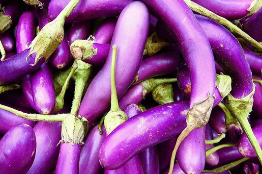 50 Long Purple Eggplant Seeds - Heirloom, NON-GMO, High Yield, USA Seller