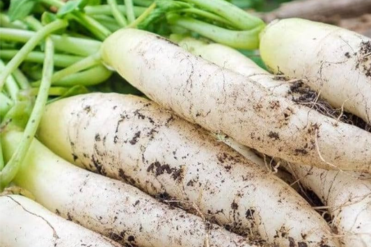 300+ Daikon Radish Seeds - Heirloom, NON-GMO, Fast-Growing, Mild Flavor, USA Seller!