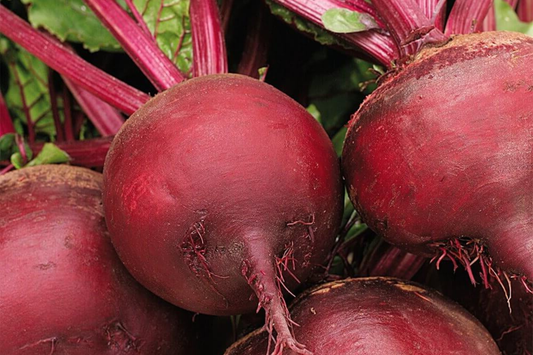 500 Ruby Queen Beet Seeds - Non-GMO Heirloom | Tender & Flavorful | Perfect for Canning | USA Seller