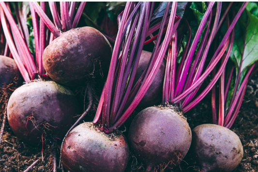 250 Detroit Dark Red Beet Seeds - Non-GMO Heirloom | Sweet & Nutritious Roots and Greens | Full Sun |