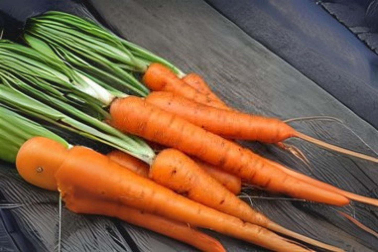 Tendersweet Carrot Seeds: Heirloom Variety, Sweet & Tender