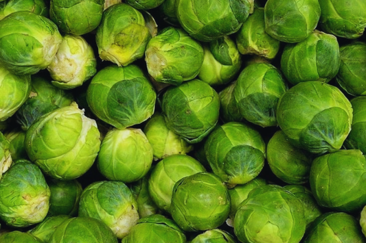 1000 Long Island Improved Brussels Sprouts Seeds - Heirloom, Non-GMO | USA Seller, Cool-Season Crop