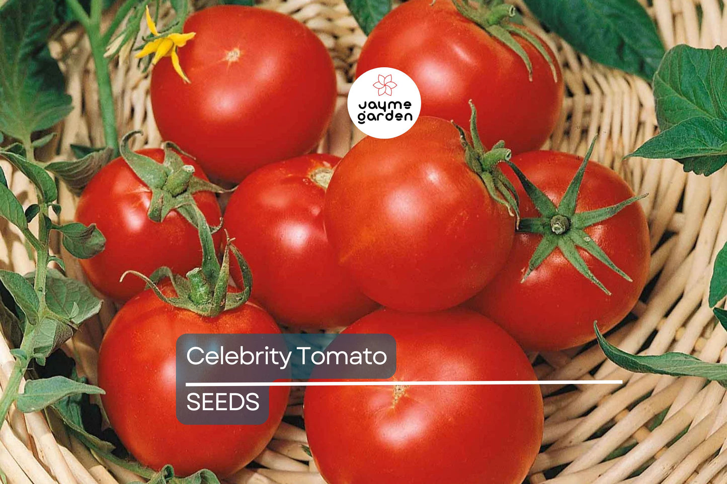 Celebrity Tomato Seeds (F1 Hybrid) | Non-GMO | Disease Resistant | 7-8 oz Fruit | 75 Days to Harvest | USDA Zones 3-10 | Free Shipping