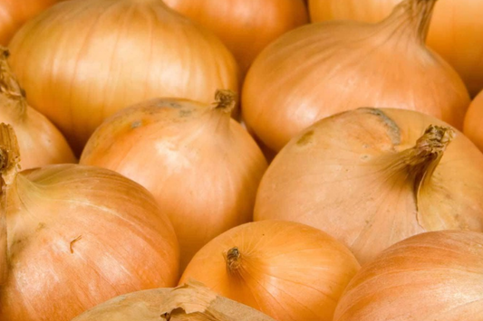 1000 Walla Walla Sweet Onion Seeds - Heirloom, Non-GMO | USA Seller,