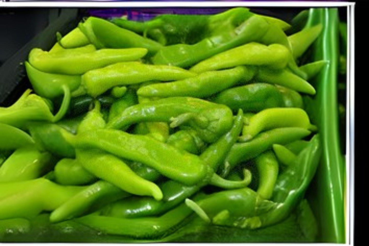 Lumbre Hot Pepper Seeds: Spicy Non-GMO Chili - 250 mg