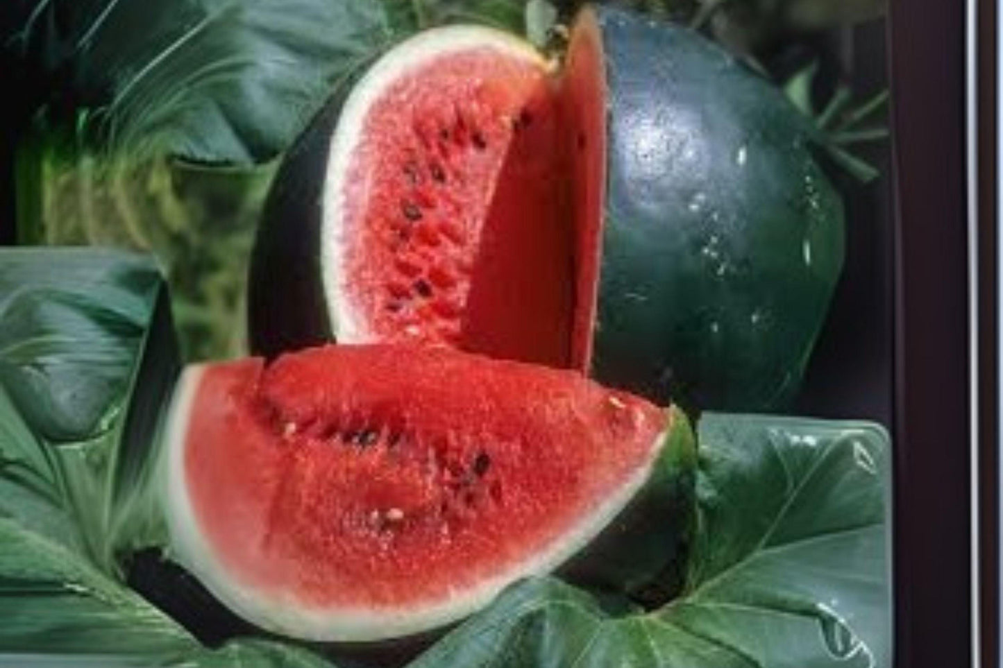 1g Seeds Sugar Baby Watermelon | Small Sweet Heirloom Melon | Garden Vegetable Seeds