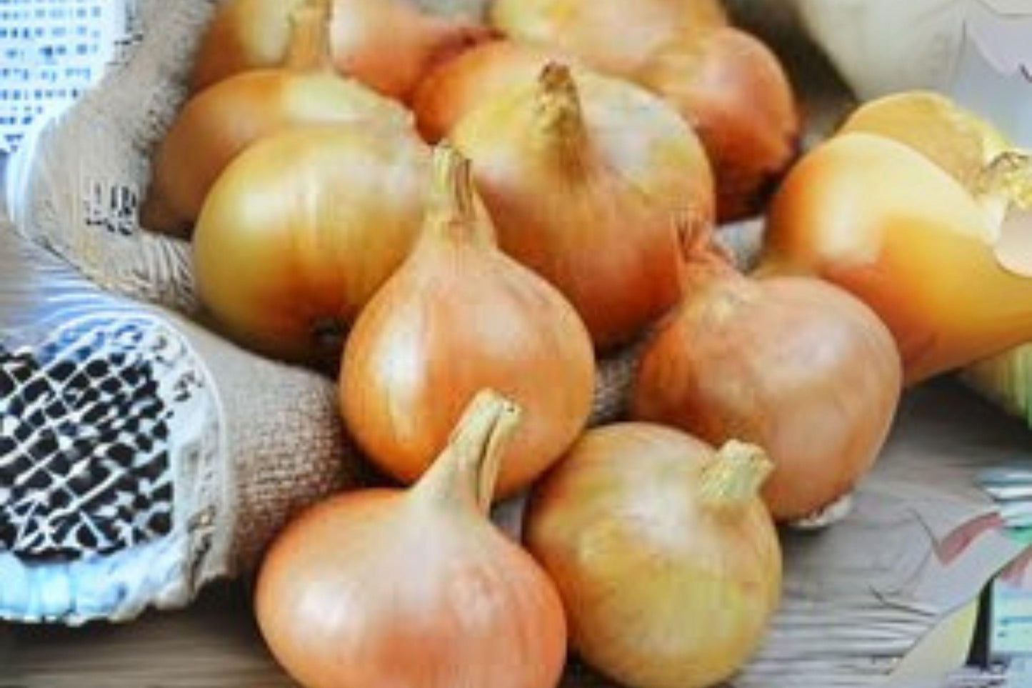 Burrell's Yellow Valencia Onion Seeds: Heirloom Vegetable Garden (250 mg)