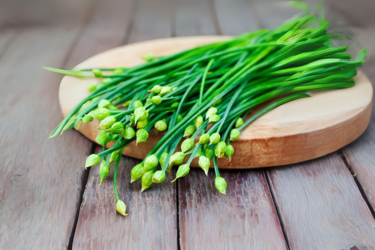 Flowering Chinese Leek Seeds: Heirloom Garlic Chives for Cooking - 100 Seeds