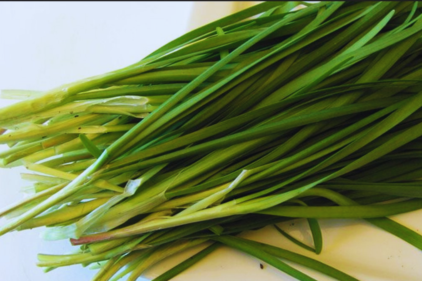 Chives Seeds Combo Pack | Garlic & Onion Varieties | Non-GMO Fresh Garden Seeds | USA Grown