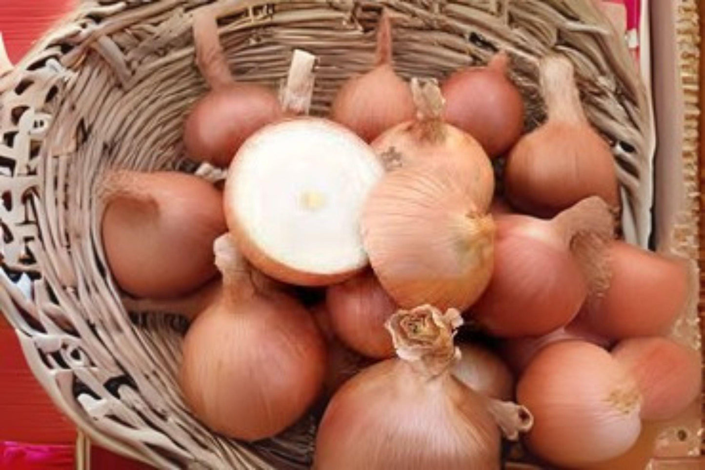 Sweet Spanish Colorado #6 Onion Seeds: Heirloom Vegetable Seeds (250 mg)