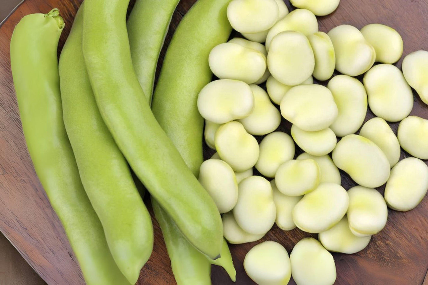 Heirloom Fava Bean Seeds – 10 Season Broad Beans