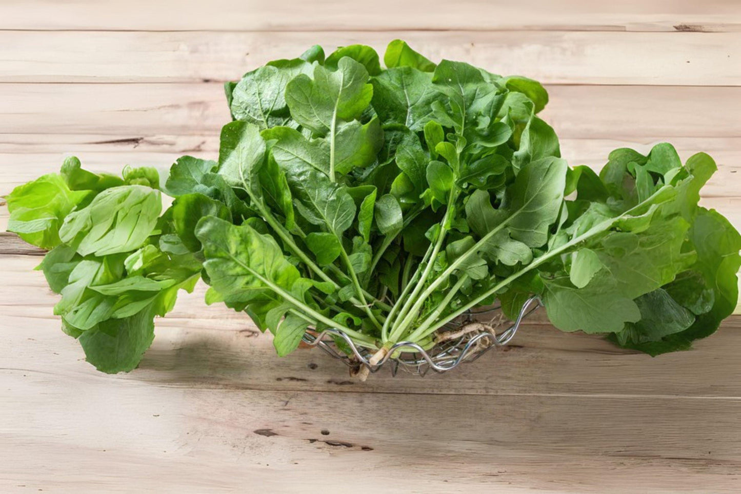 700 Arugula Seeds: Heirloom Salad Rocket, Peppery Garden Greens