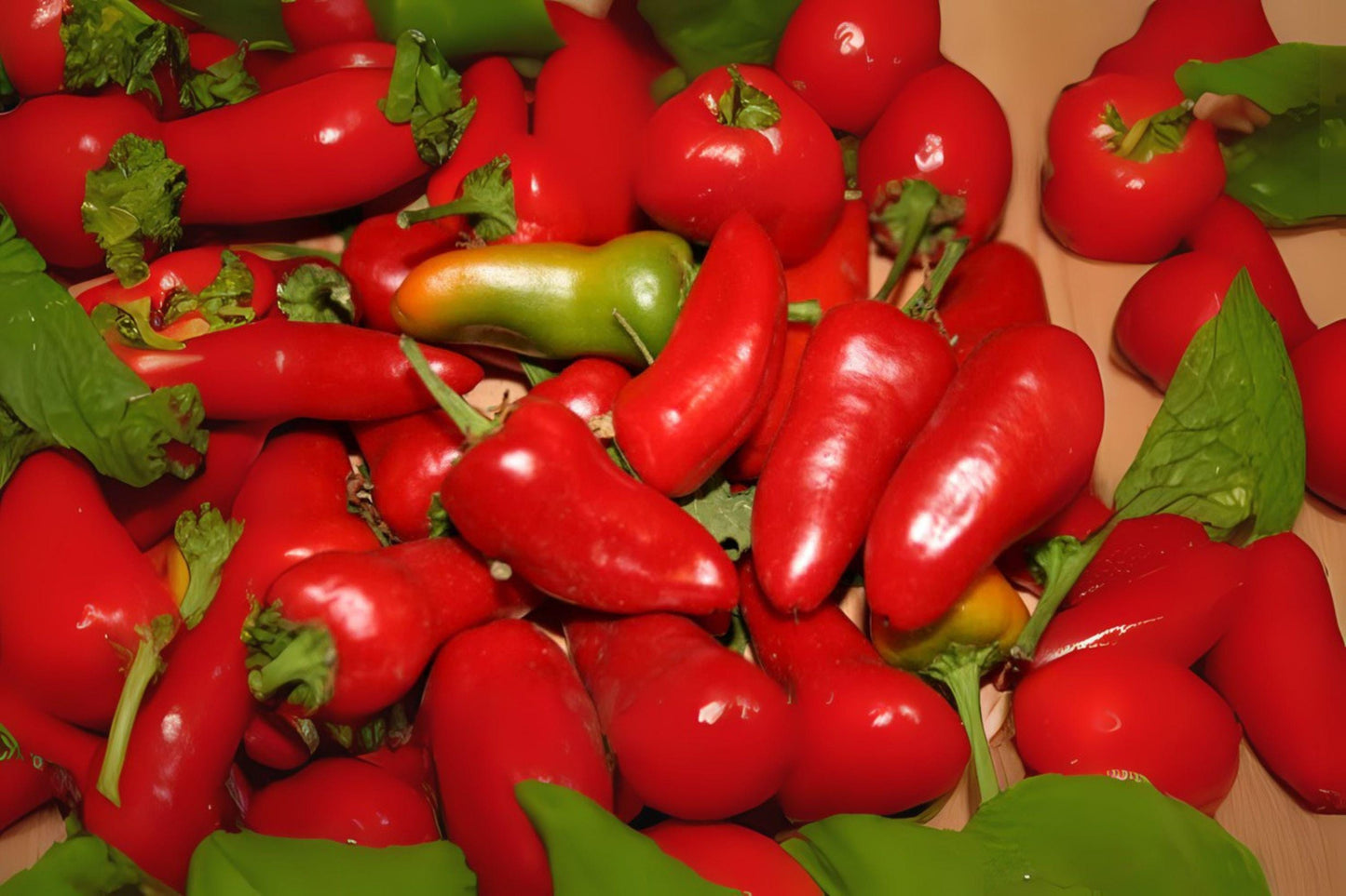250mg Seeds Fresno Chile Hot Pepper | Heirloom Garden Seeds