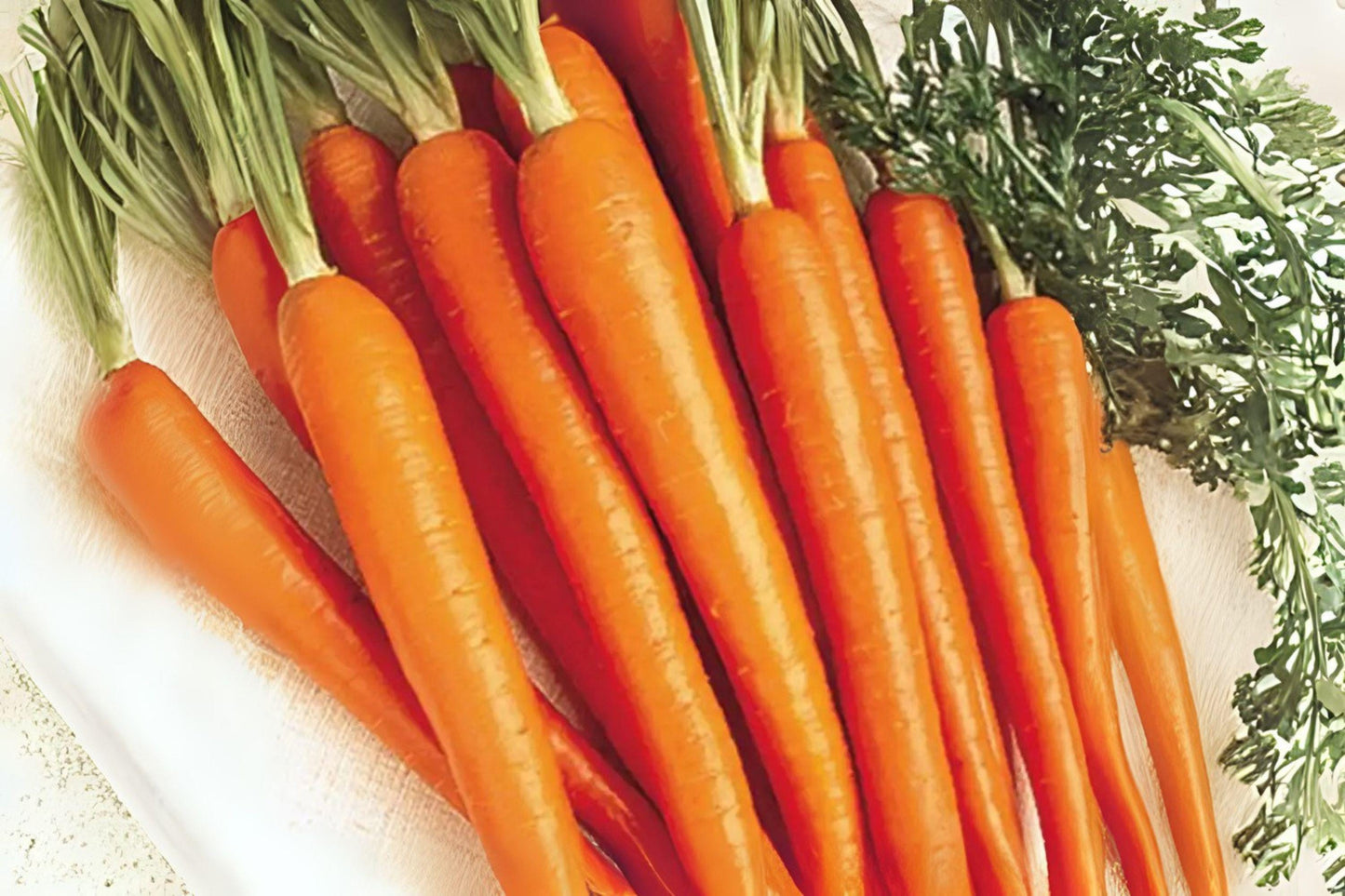 Tendersweet Carrot Seeds: Heirloom Variety, Sweet & Tender