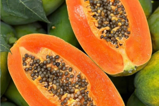 Papaya Tree (Carica papaya) Live Tropical Fruit Tree 1’-2’ | Sweet Flavor, Juicy Texture, and Easy to Grow