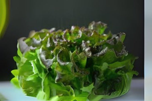 700 Seeds Bronze Mignonette Butterhead Lettuce – Heirloom Bronze-Tinted Leaves, Tender & Flavorful
