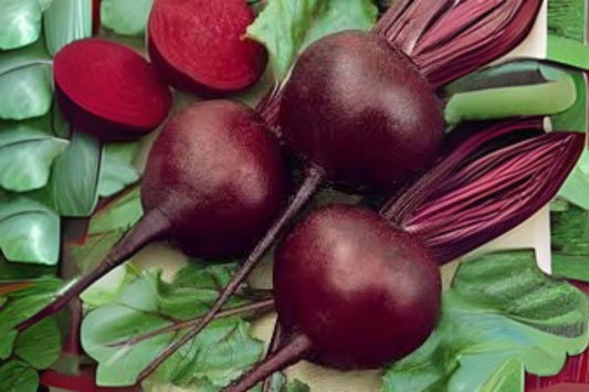 Detroit Dark Red Beet Seeds - Heirloom Variety - 40 Seeds